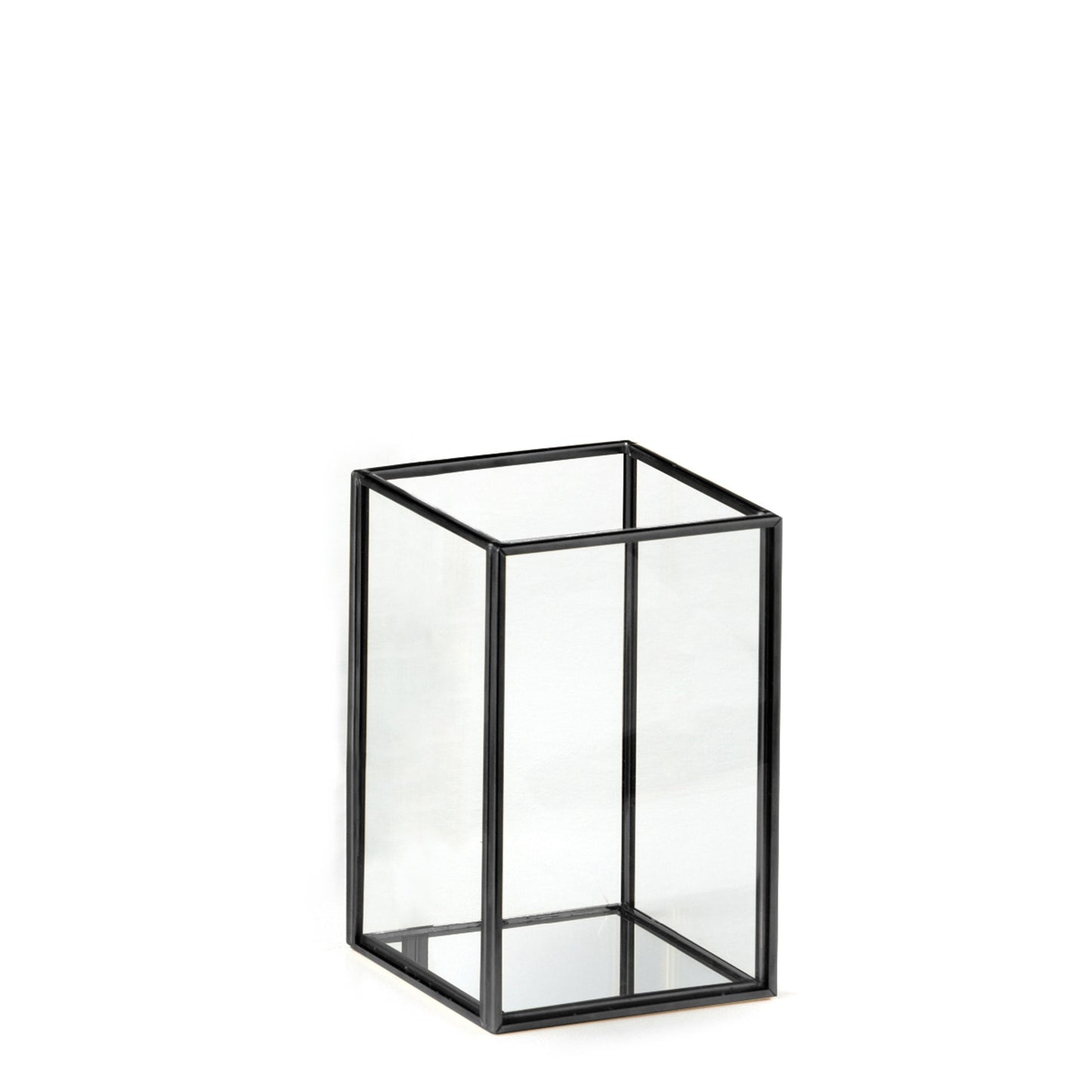 5" Black Lantern - each